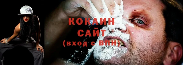 прущие грибы Заволжск
