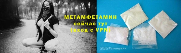 прущие грибы Заволжск