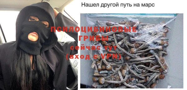 прущие грибы Заволжск