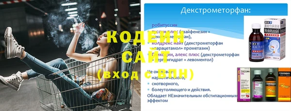 прущие грибы Заволжск