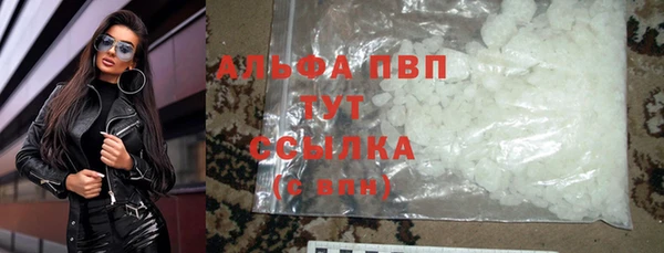 прущие грибы Заволжск