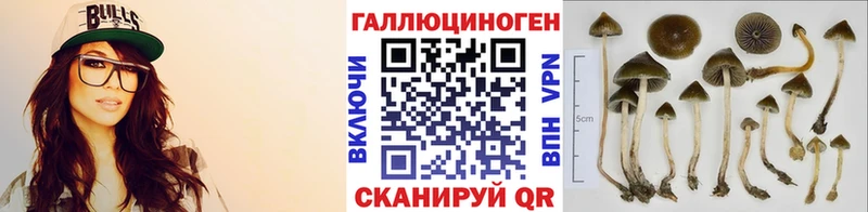 Купить  Болохово  Галлюциногенные грибы GOLDEN TEACHER 